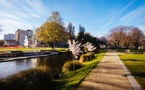 Landscape around the River Avon and Victoria Square in Christchurch on a warm spring day in New Zealand