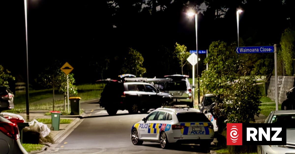 Man shot by police after threatening them with a gun in Massey incident
