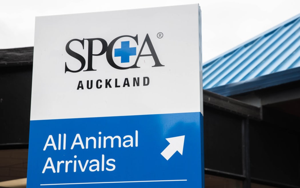 The Mangere SPCA in Auckland