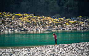 Haast River near Roaring Billy Falls, located in Mt Aspiring National Park.