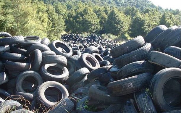 An illegal tyre dump in Waikato