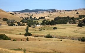 Dry farm land in Wairarapa, east of Masterton.