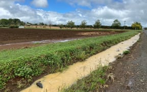 Water still flows next to a field completely washed out of its onions.