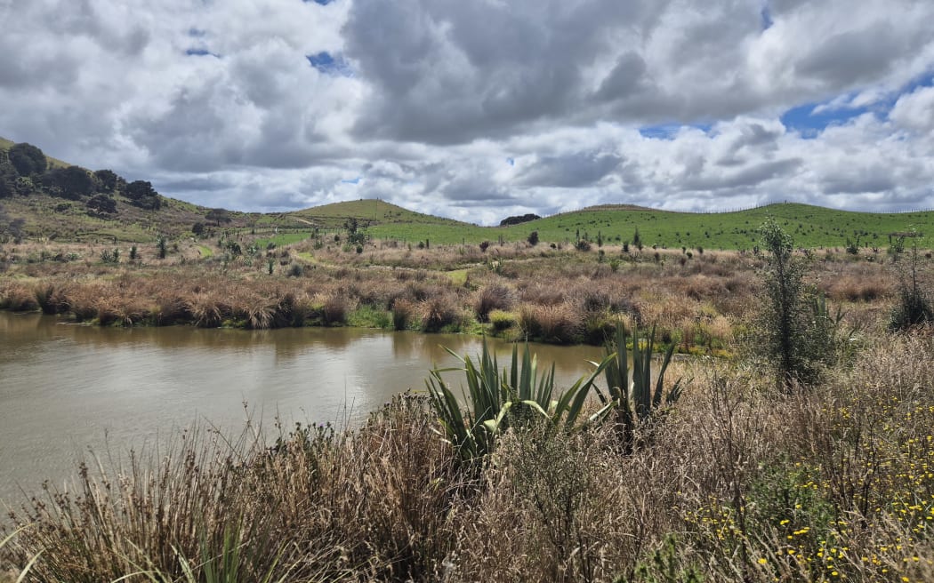 New wetland areas have also been developed as part of the project and seen thousands of native plants go in.