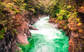 Blue Pools Walk, Mt Aspiring National Park, New Zealand