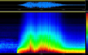 Sonograph of the Kaikōura earthquake