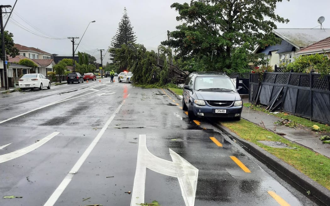 Strong gusts of wind have ripped through the Wellington region, damaging buildings and downing trees.