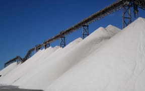 The saltworks, near Seddon.