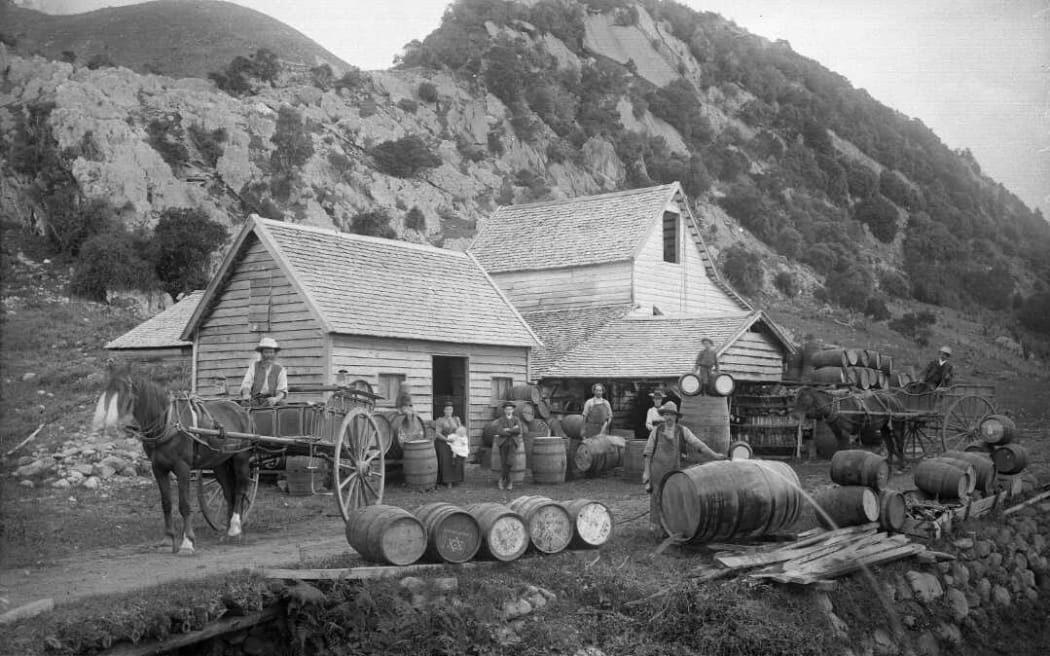 Ellis Creek Farm