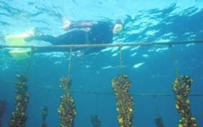 Ocean science