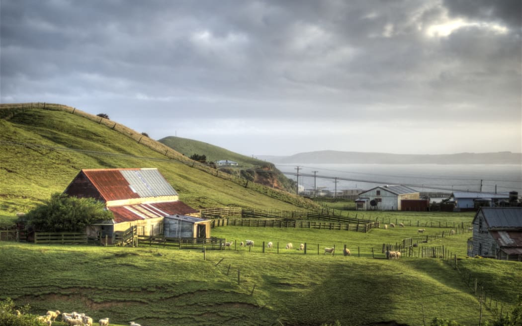 View from Chatham Islands