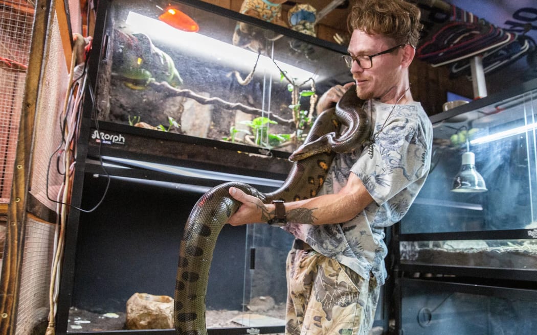 Samson has 11 reptiles from Solomon Islands. (Supplied: Jessica Tezak)