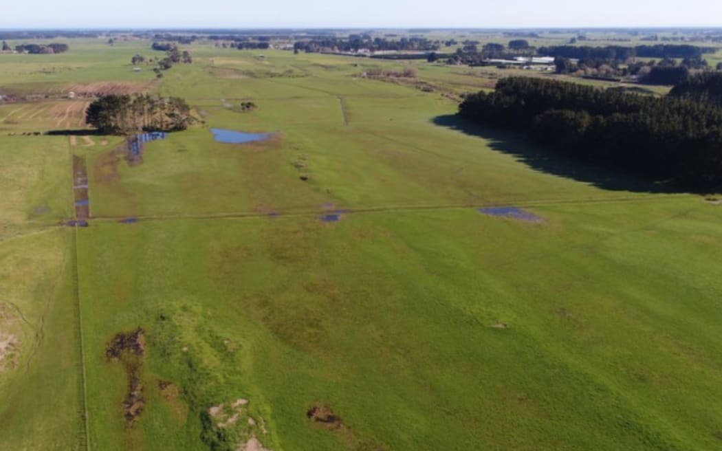 Kōpūtara reserve.