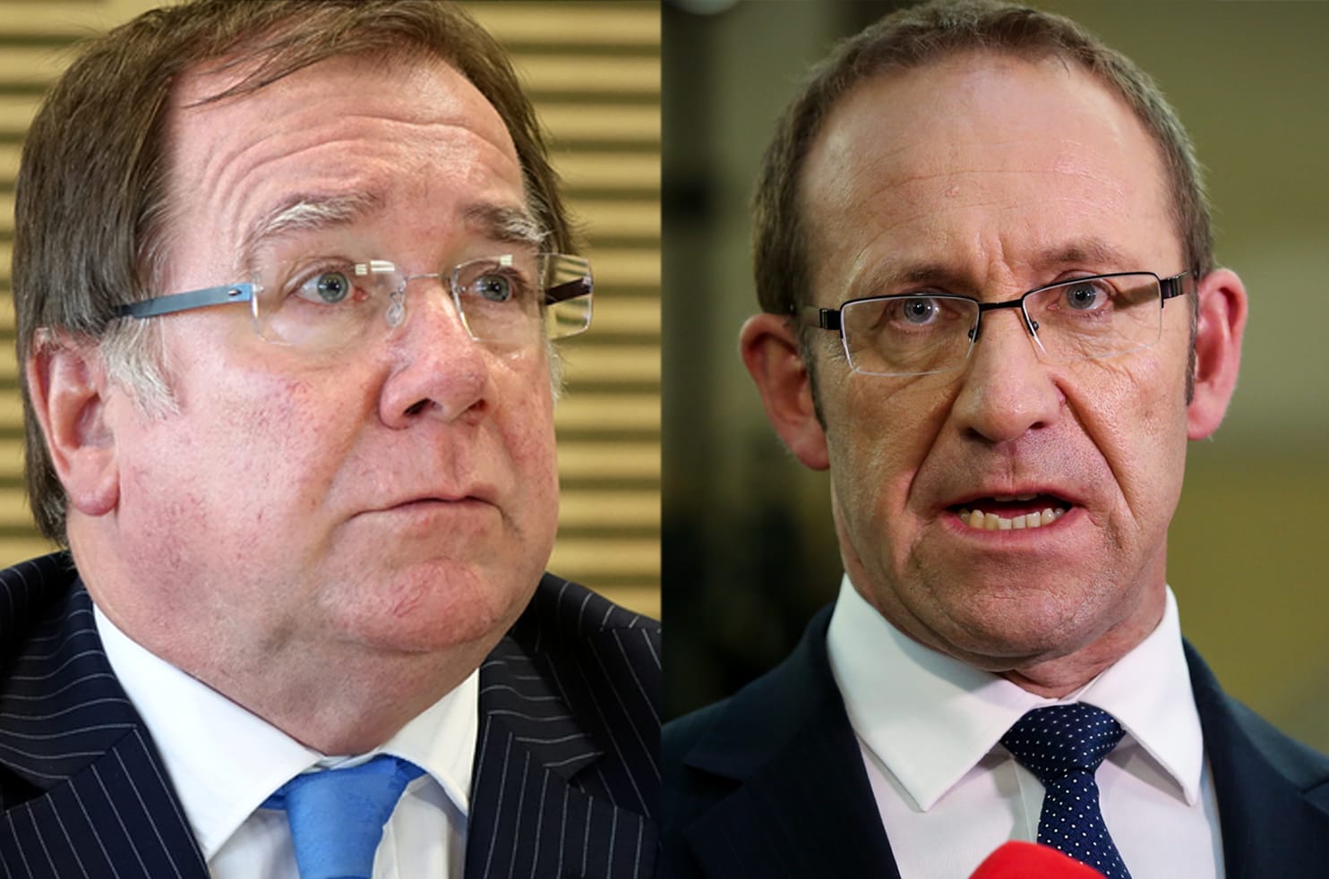 Andrew Little and Murray McCully