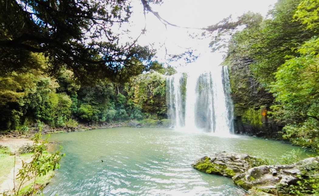 Whangārei Falls.