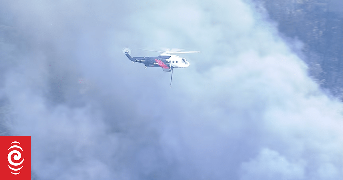 Up to 10 homes lost in Bulahdelah, Koolewong fires on NSW coast