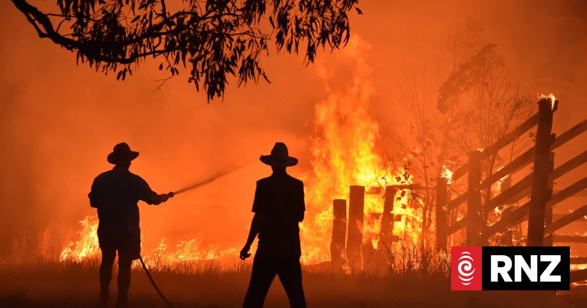 New South Wales bushfires burn through record land area | RNZ News