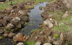 An aquaculture channel and pond at Budj Bim Cultural Landscape.