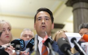 Simon Bridges addresses media
