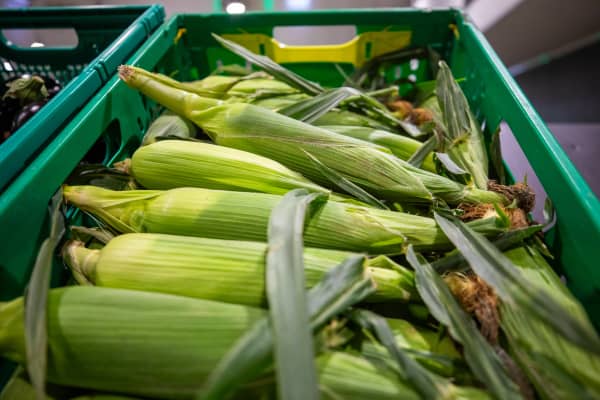 New Zealand grown corn.