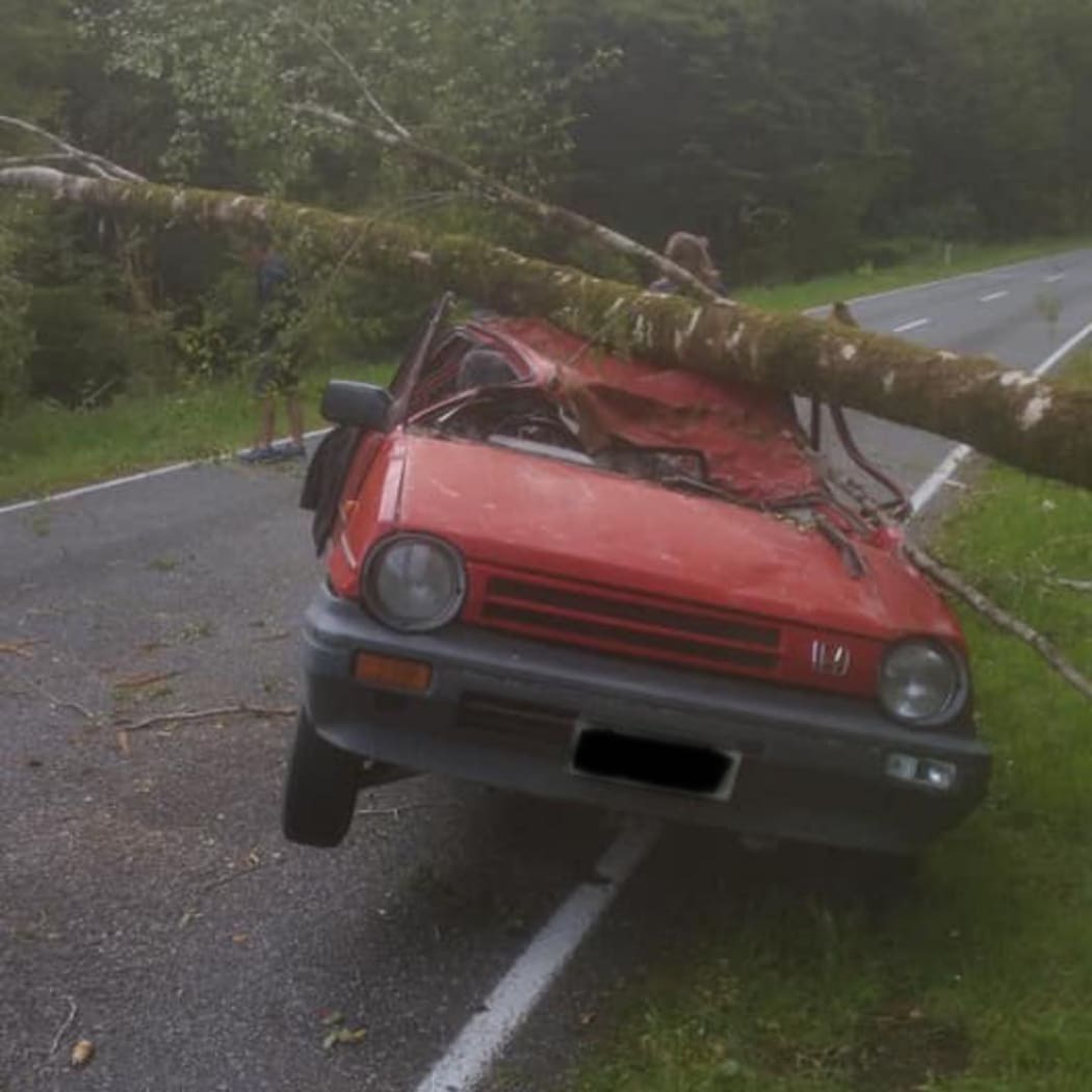 Ryan Walsh survived after a tree fell on his car.