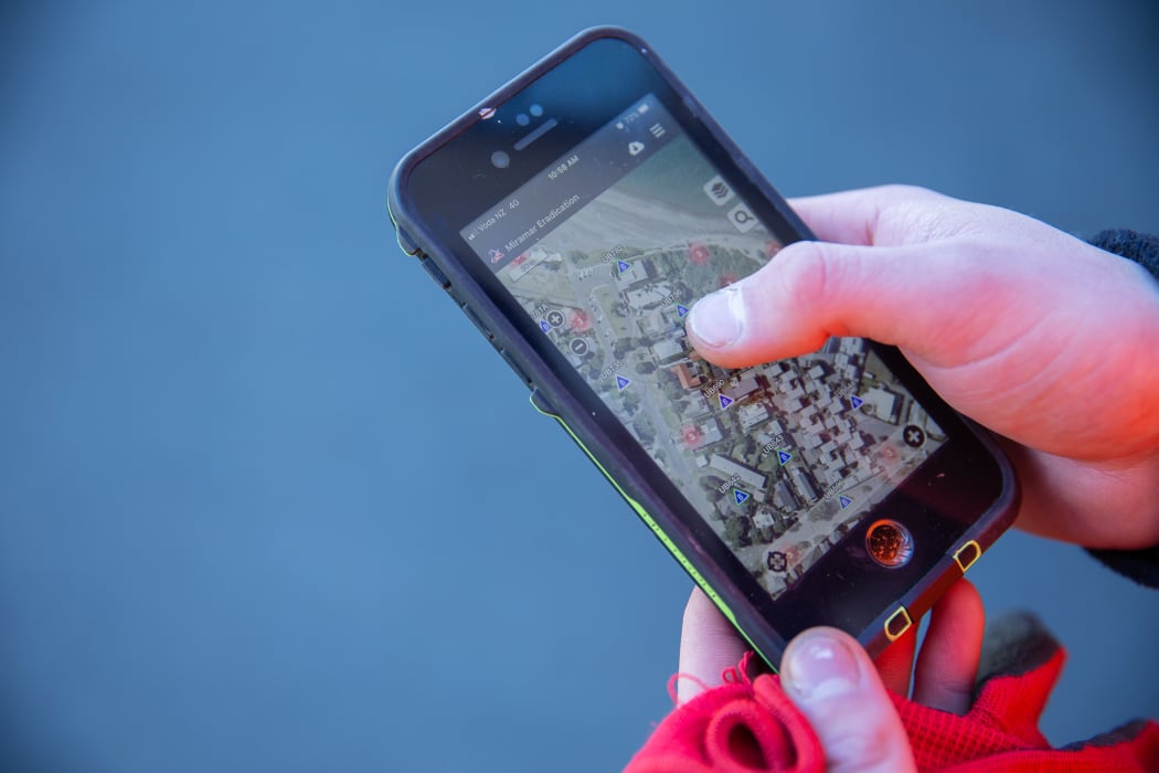 Predator-Free Wellington staff use the app Trap New Zealand to log how much rat bait is being taken and whether the traps have caught anything.