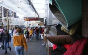 Beyond the Beehive: Homelessness