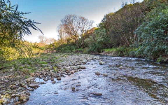 Cottagecore - to go with Sharon Stephenson's opinion