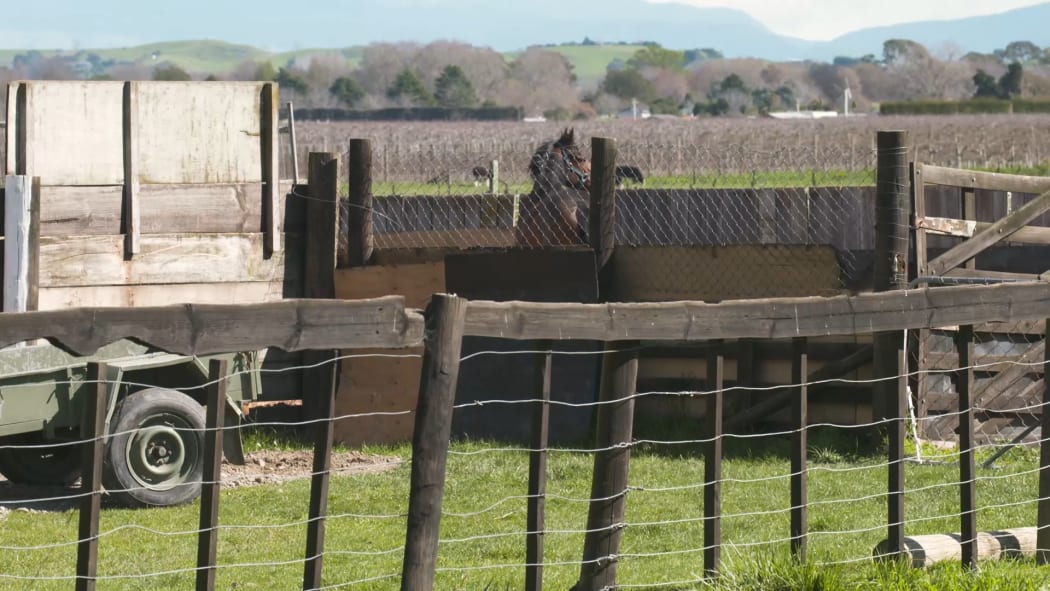 Margaret Harkema's property in Hawke's Bay.