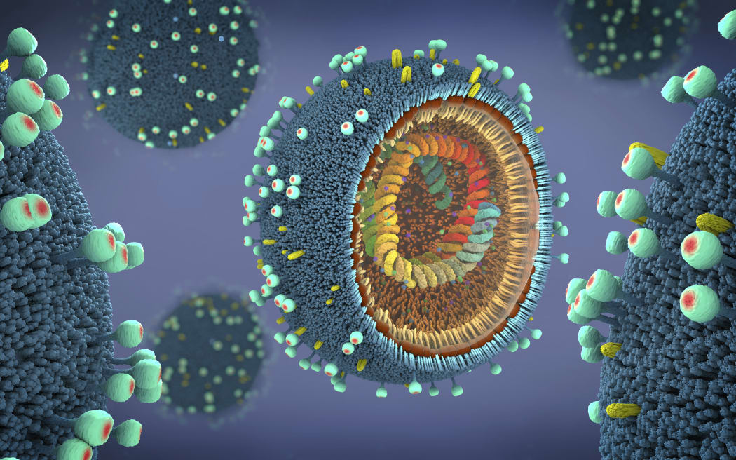 An illustration of influenza virus particles.