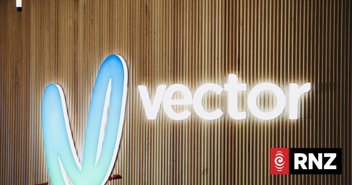 Vector profit jumps 55 percent as new pricing rules fund record network investment