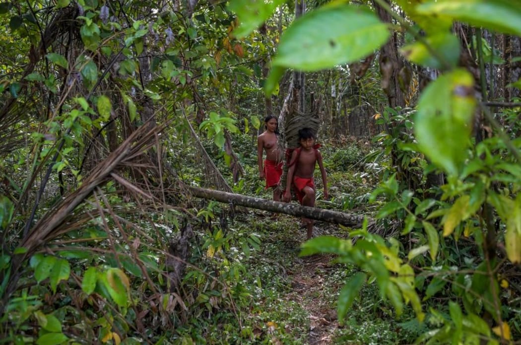 A Waiapi boy and his mother carry wood for a fire pit, at the Manilha village in the Waiapi indigenous reserve in Amapa state in Brazil on October 13, 2017.
