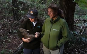 Kiwi Coast Far North coordinator Lesley Baigent with DOC Bay of Islands operations manager Bronwyn Bauer-Hunt and a kiwi.