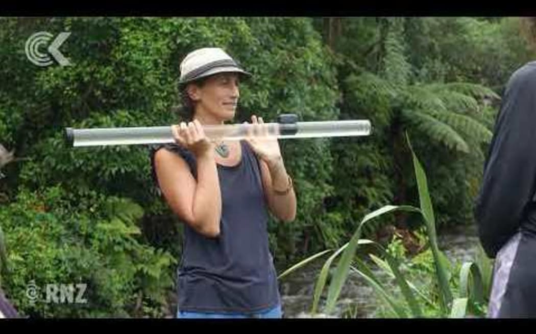 Eels die as Taranaki streams dry up