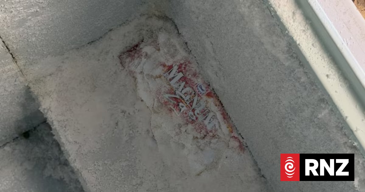 Australian shop owner finds nearly 30-year-old Magnum Ego ice cream in freezer