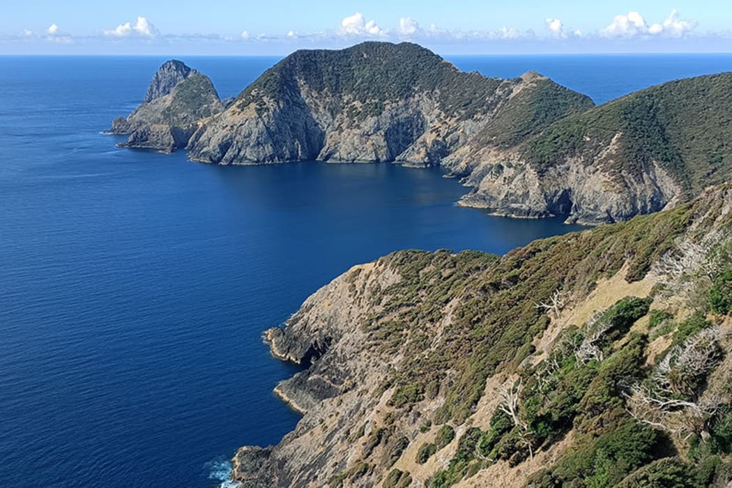 View towards Cape Brett
