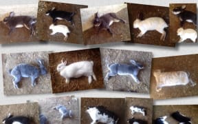 Rabbits that have died from RHVD2