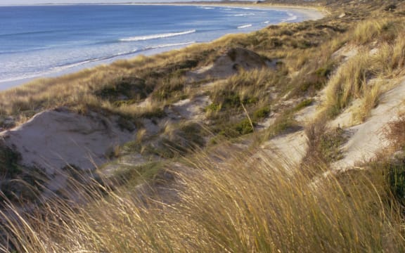Northern beach, Chatham Islands
