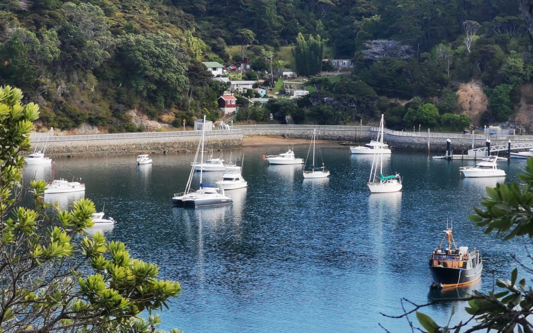 Great Barrier Island's Tryphena was once a haven for boaties to anchor, before that was banned after New Zealand's first discovery of exotic caulerpa on the island in 2021