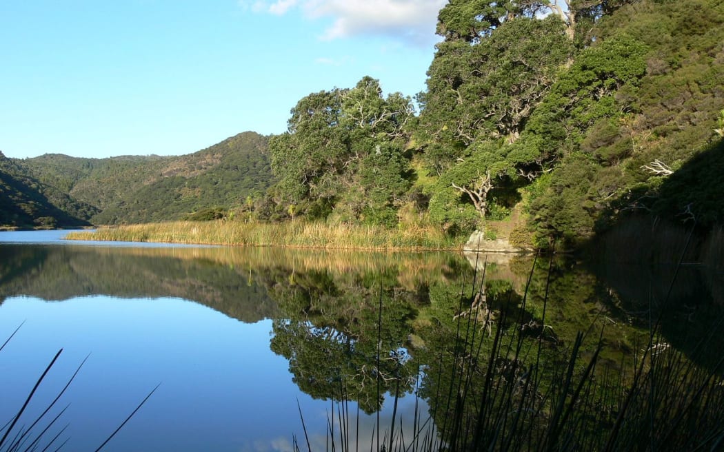 Lake Wainamu near Bethells Beach in Auckland.