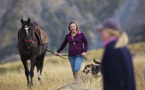 Lamb weaning in January 2017 at Muzzle Station, Kaikoura, New Zealand.