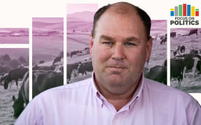 Focus on Politics: Composite of MP Andrew Hoggard front of dairy cows and pasture.