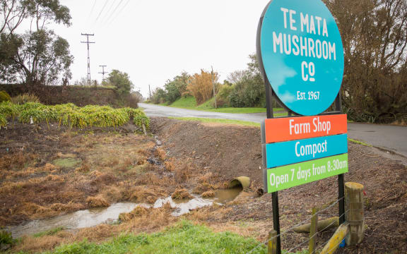 Te Mata Mushroom Company in Havelock North