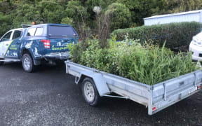 A trailer filled with trees.