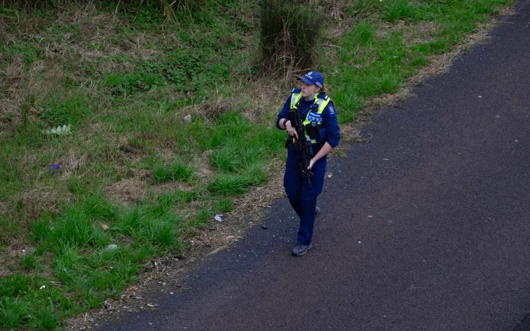 An officer on the Te Atatu on-ramp to the motorway in the hunt for Auckland's elusive motorway pig.