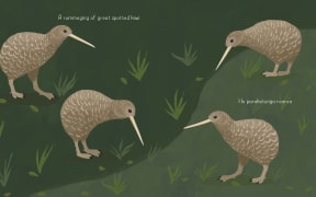 A rummage of Kiwi
