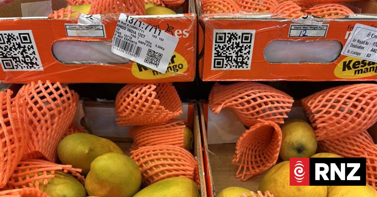 Why Indian mangoes remain rare in New Zealand supermarkets