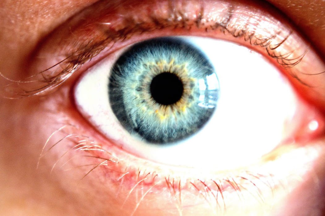 Cornea