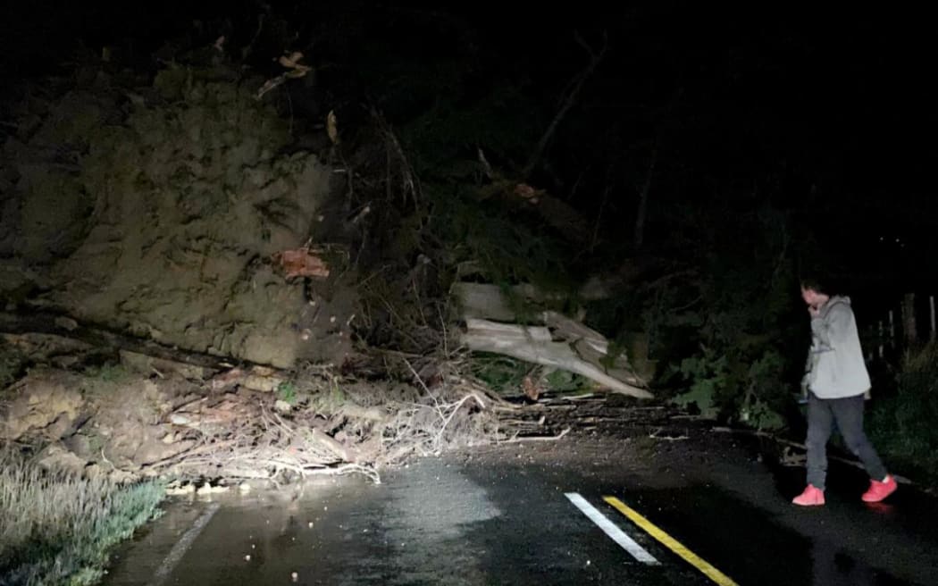 A large fallen tree blocking the Paekākāriki Hill Road near the Gray's Road intersection on Wednesday 10 August 2022.