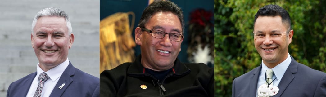 2017 candidates for Te Tai Tokerau electorate